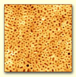 Изображение поверхности трехблочного блок-сополимера стирол-бутадиен-стирола (СБС), полученное с помощью атомно силовой микроскопии